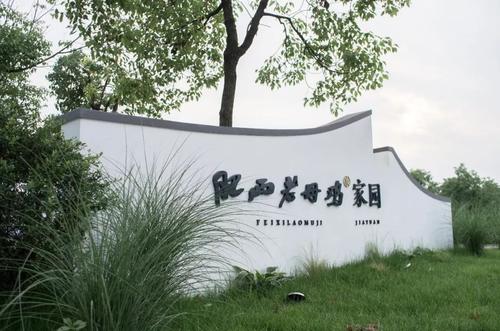 肥西老母鸡家园