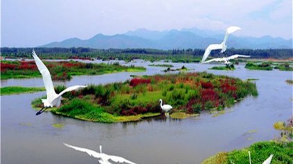 徂徕山汶河水利风景区