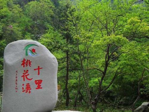 桃花冲森林公园