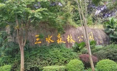 三水森林公园