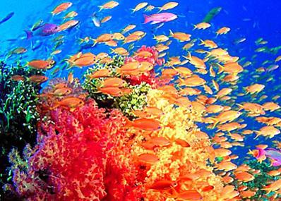 新澳海底世界