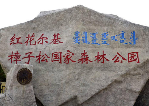红花尔基森林公园