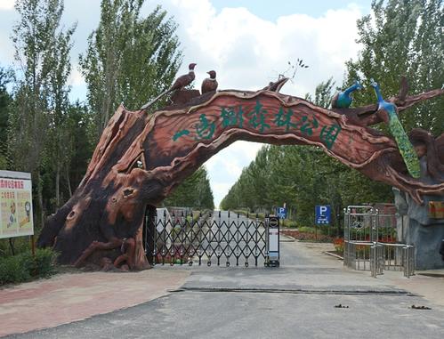 一马树森林公园