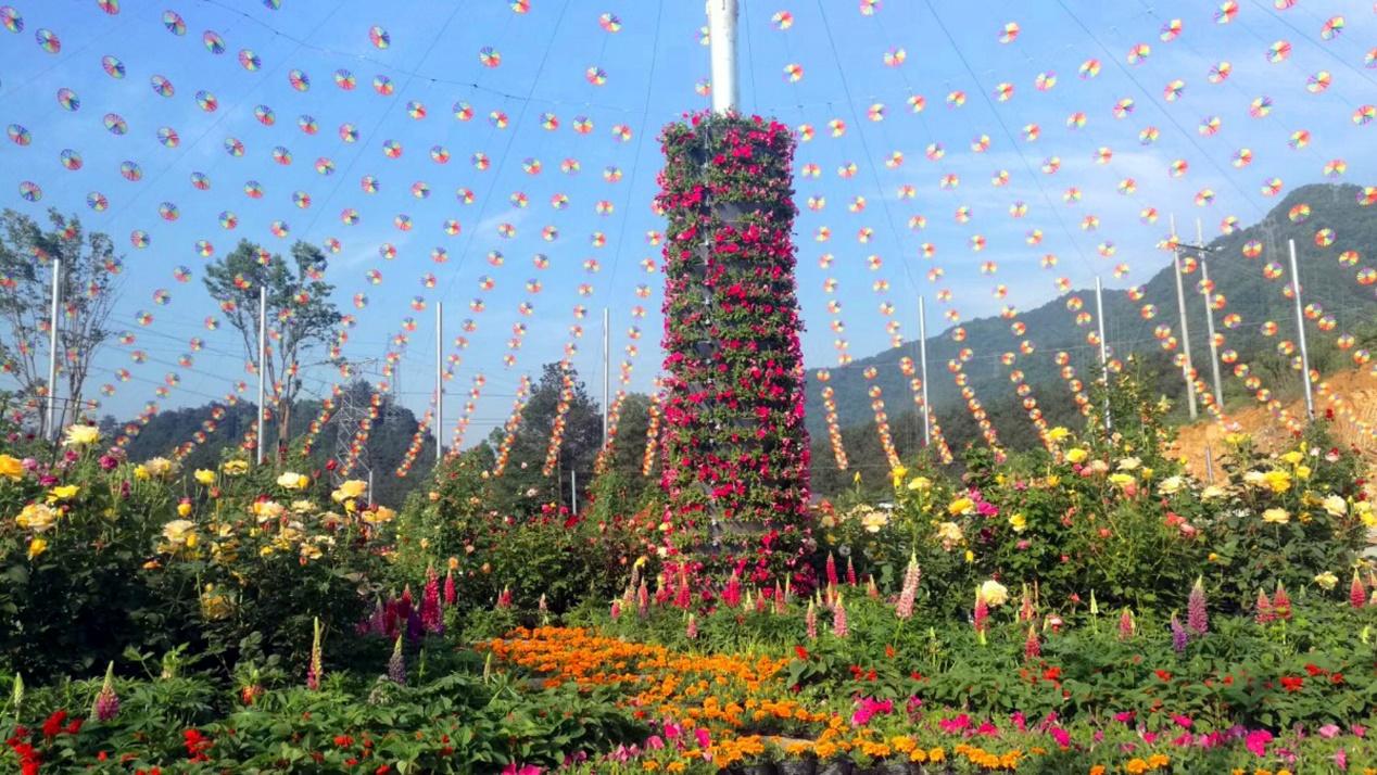 绥棱林业局生态文化旅游景区