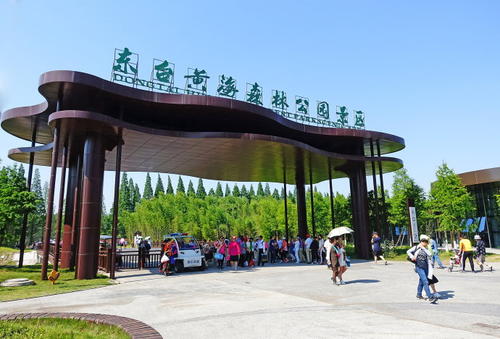 黄海森林公园