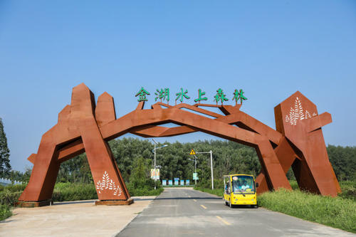 金湖水上森林公园