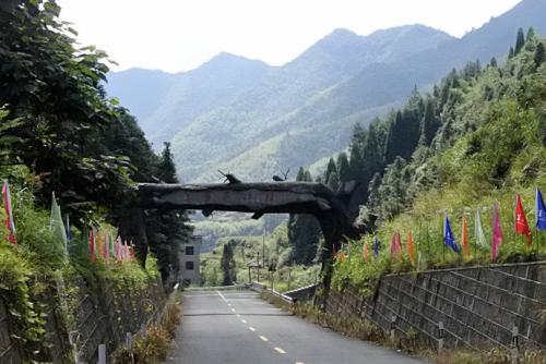 箬寮—安岱后景区