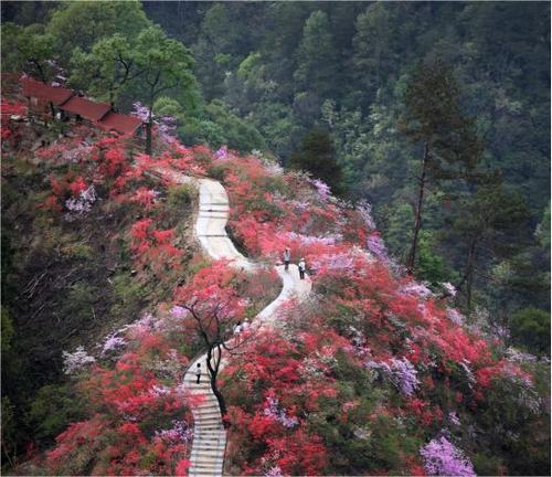 岳西天峡景区